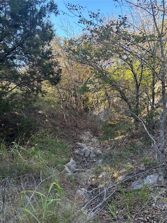 Cougar Mountain Estates - Land