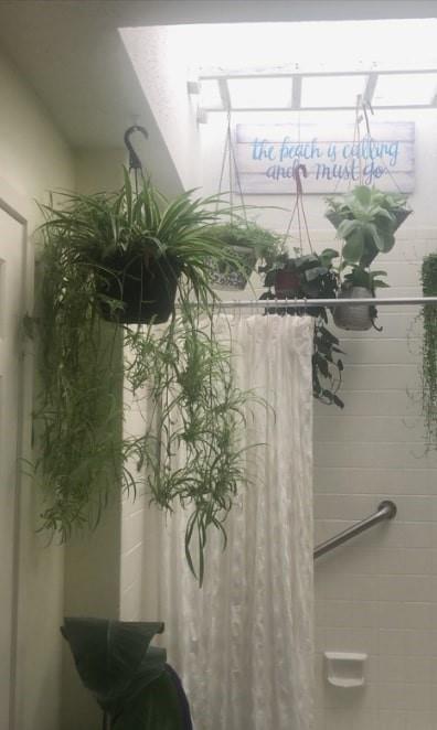 Stanford Court Townhome Condos - Residential