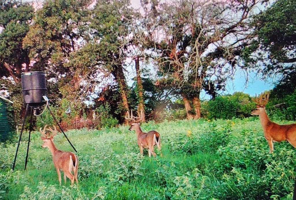 ABST A0498 E HUNT - Residential