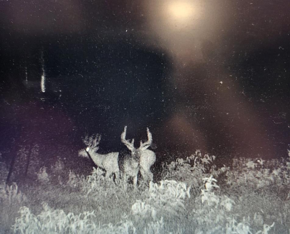 ABST A0498 E HUNT - Residential