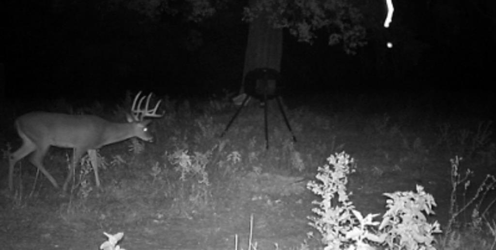 ABST A0498 E HUNT - Residential