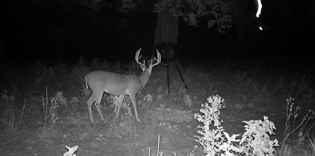 ABST A0498 E HUNT - Residential