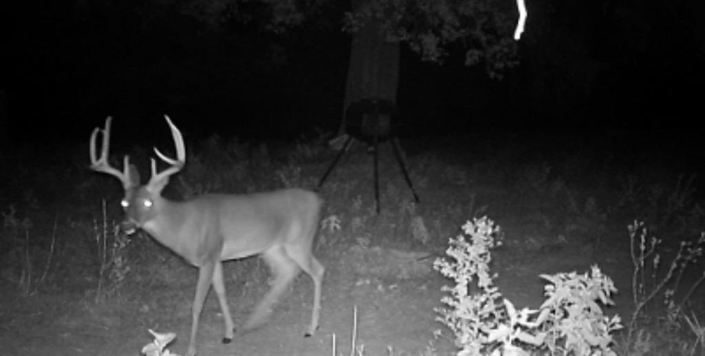 ABST A0498 E HUNT - Residential