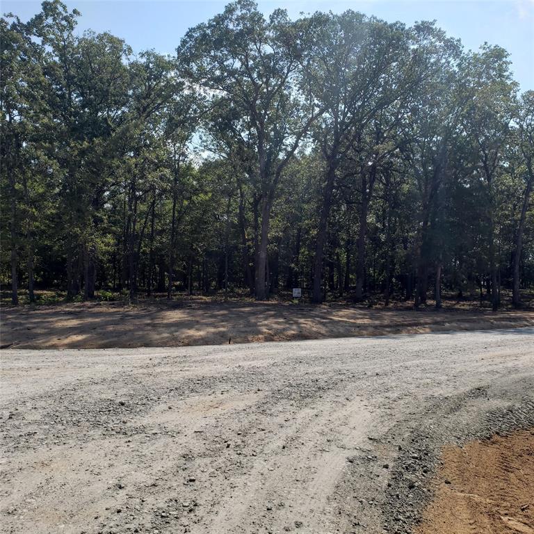 Fisherman's Bay - Land