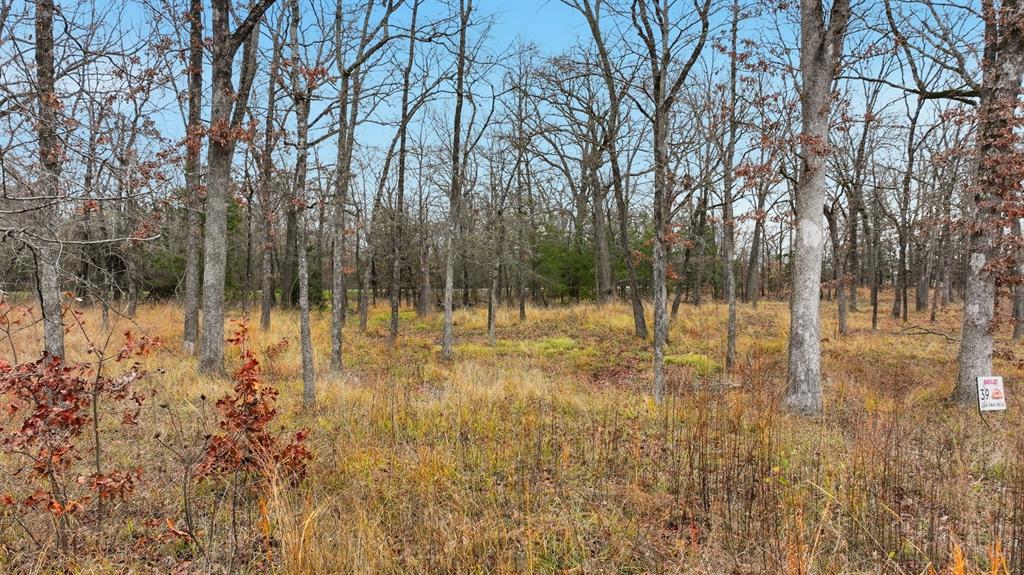 Fisherman's Bay - Land