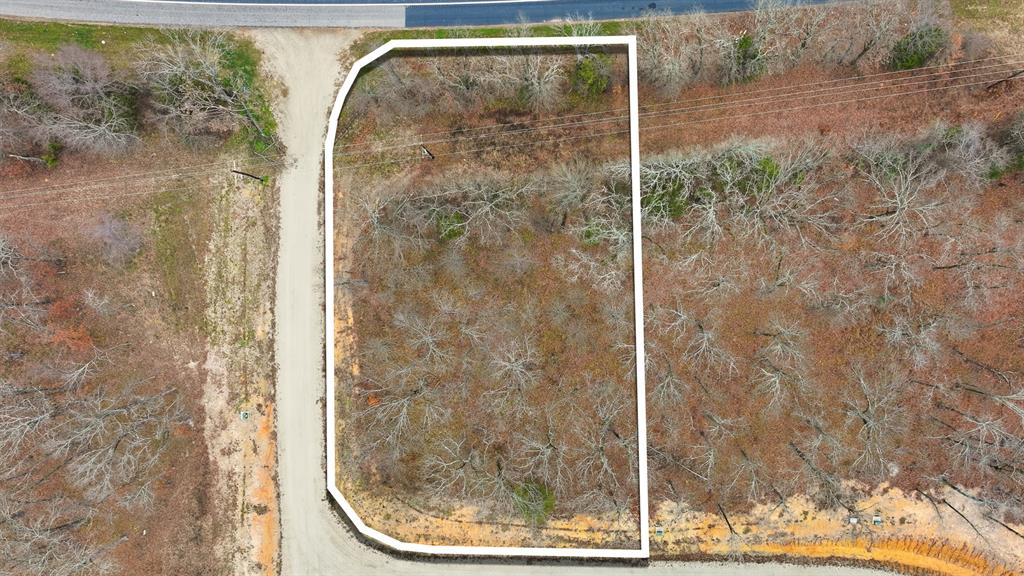 Fisherman's Bay - Land