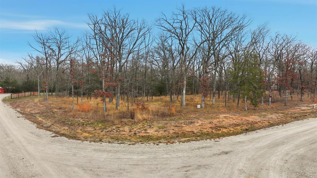 Fisherman's Bay - Land