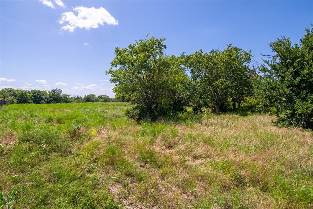 TBD CR 663