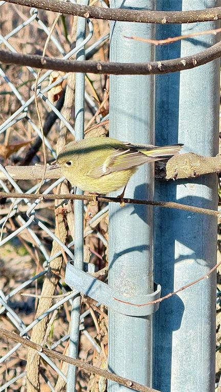 Lavon Beach Estates - Residential