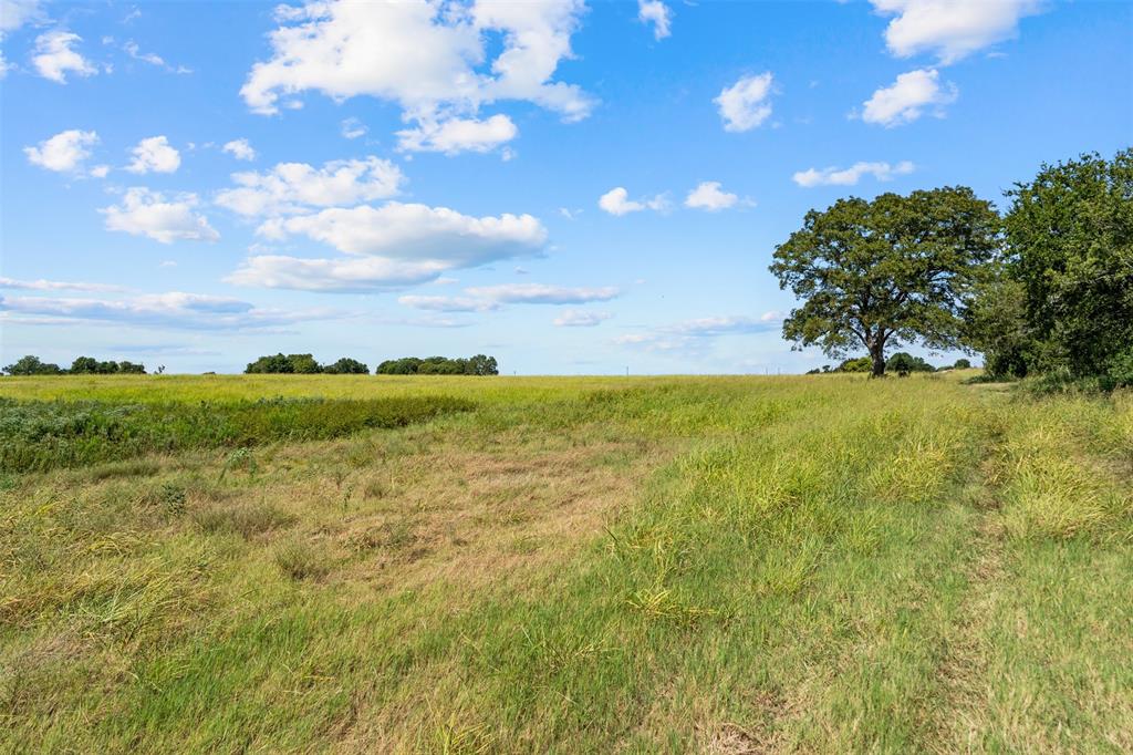 4562 hwy 77