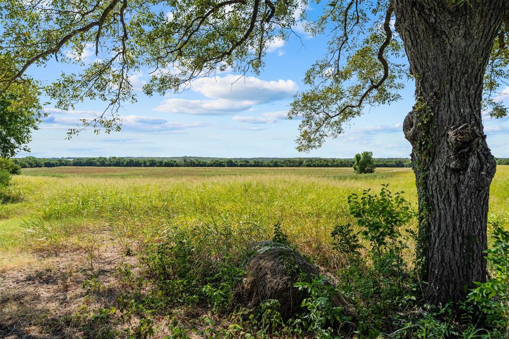 4562 hwy 77