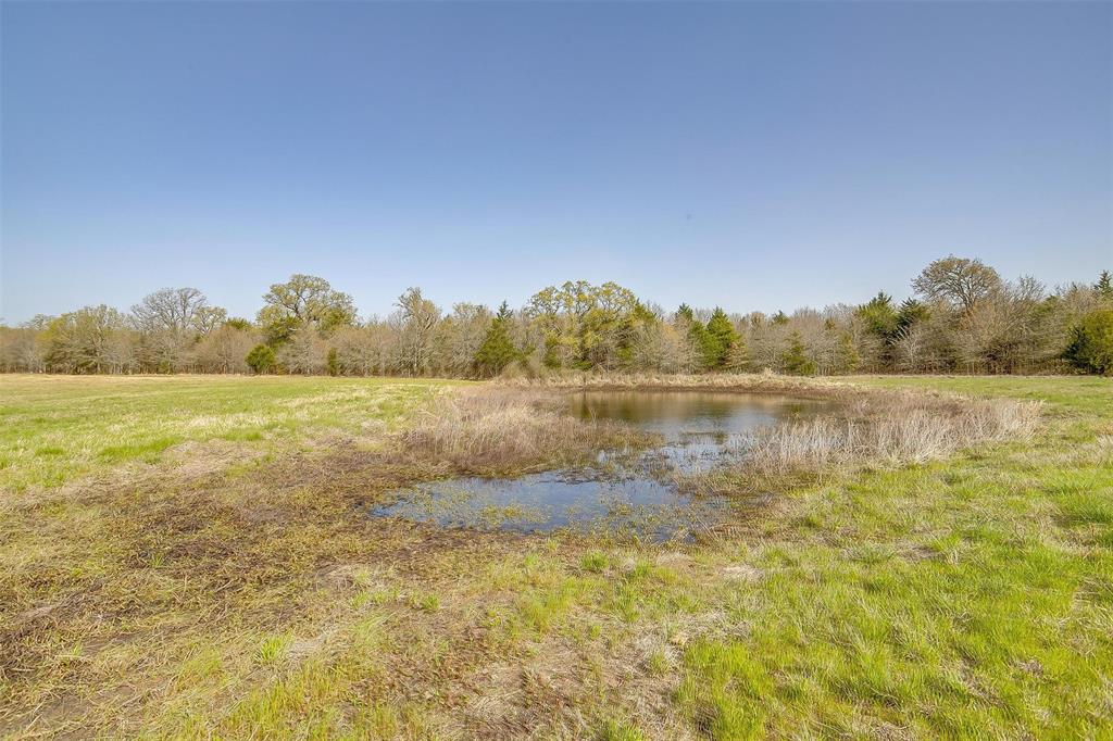 Mcguffey 07-Points Add - Land