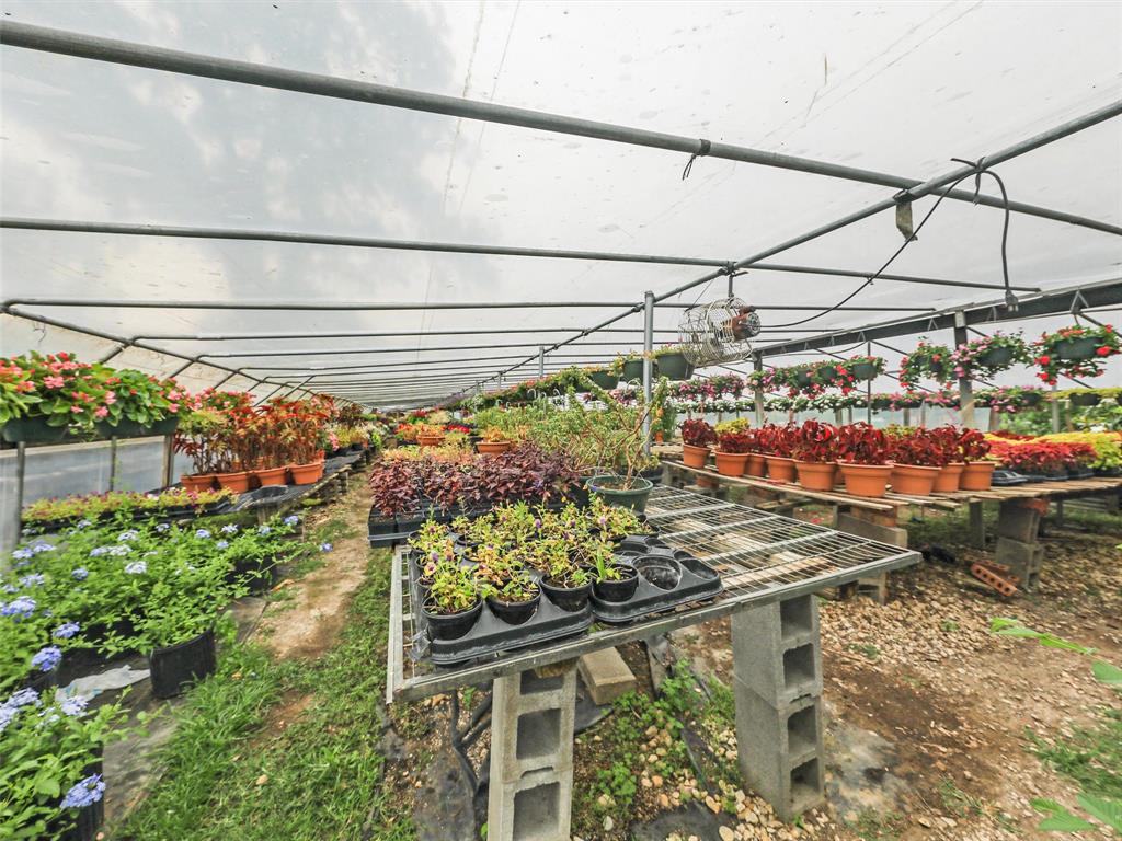 Jesse G Allen Surv Abs 18 - Land