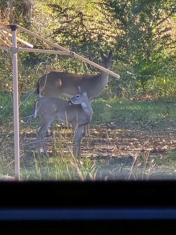 Meadow Wood Estates Ph 2 - Land