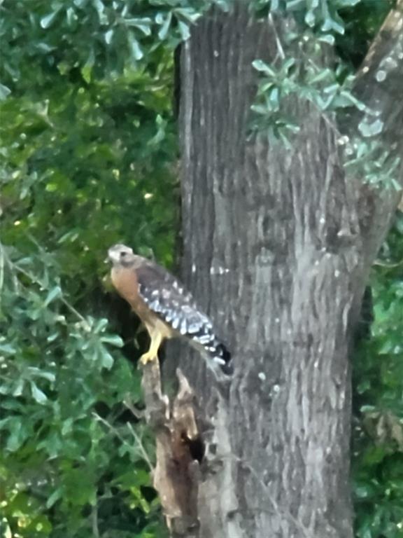 Meadow Wood Estates Ph 2 - Land