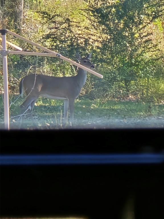 Meadow Wood Estates Ph 2 - Land