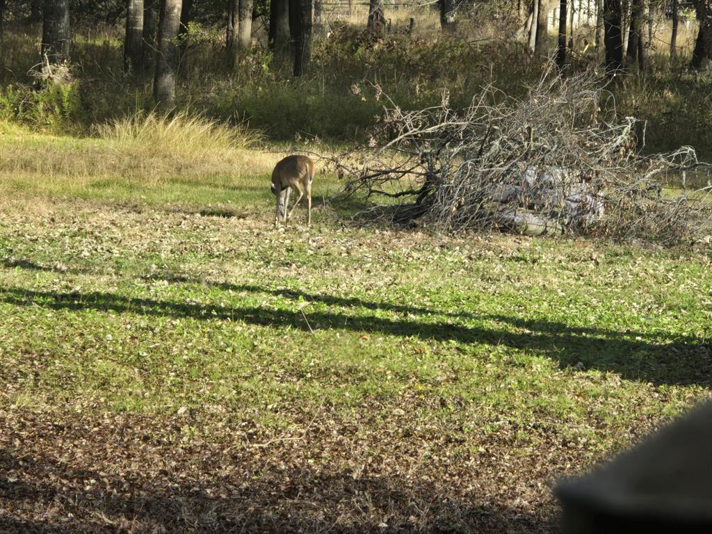 Meadow Wood Estates Ph 2 - Land