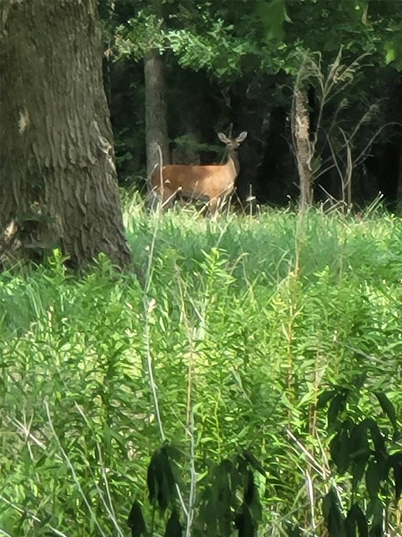 Meadow Wood Estates Ph 2 - Land