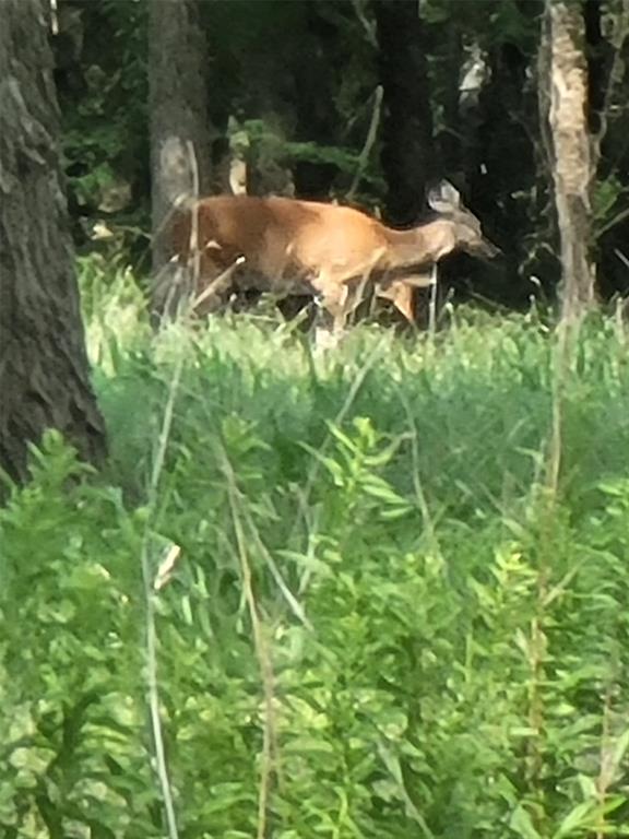 Meadow Wood Estates Ph 2 - Land