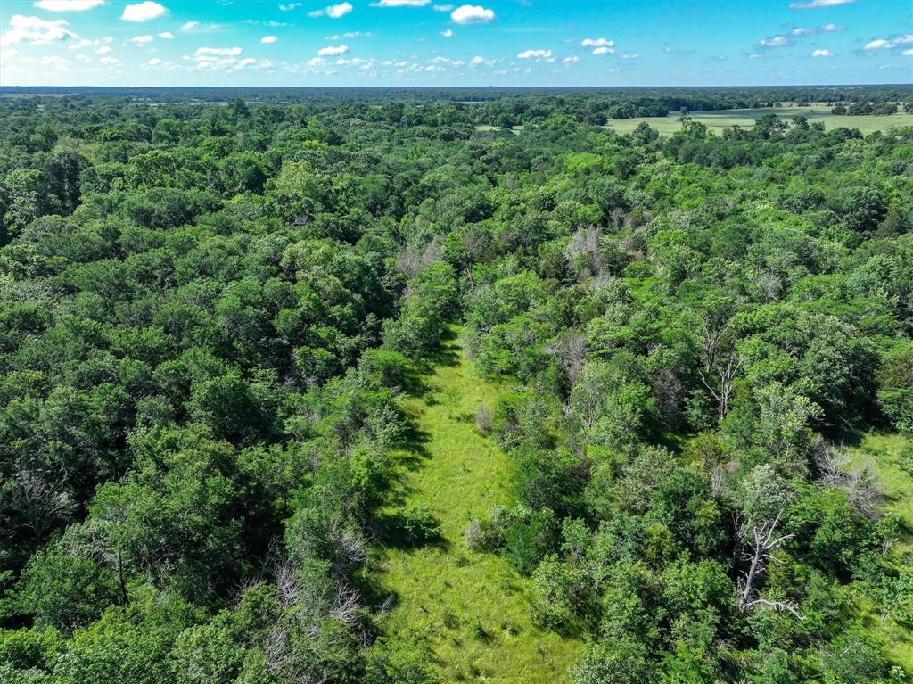 Meadow Wood Estates Ph 2 - Land