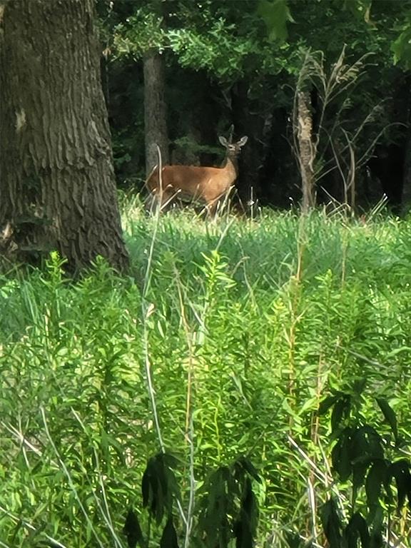 Meadow Wood Estates Ph 2 - Land