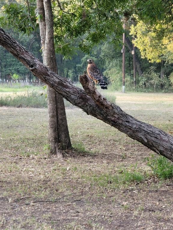 Meadow Wood Estates Ph 2 - Land