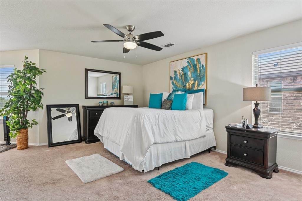 Palmilla Springs - Residential