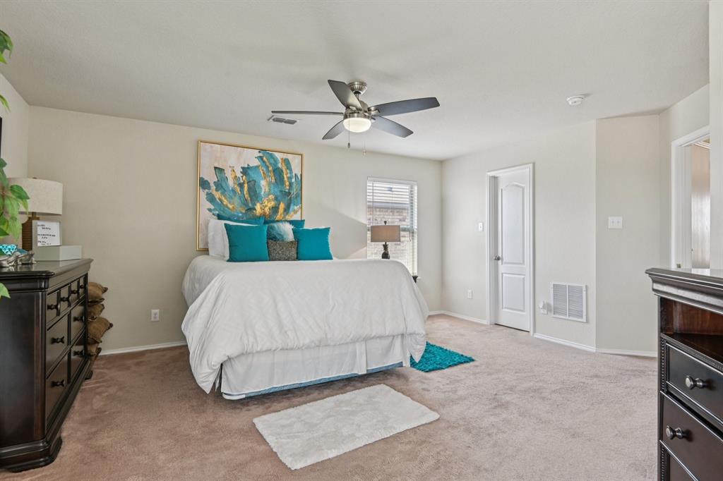 Palmilla Springs - Residential