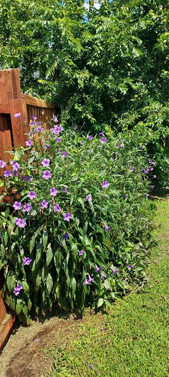 Spanish Trail West - Residential