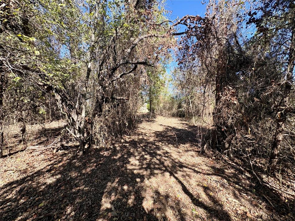 George Casseland - Land