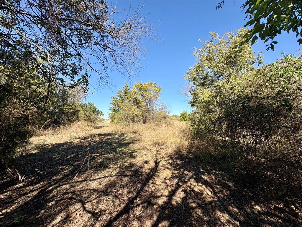 George Casseland - Land