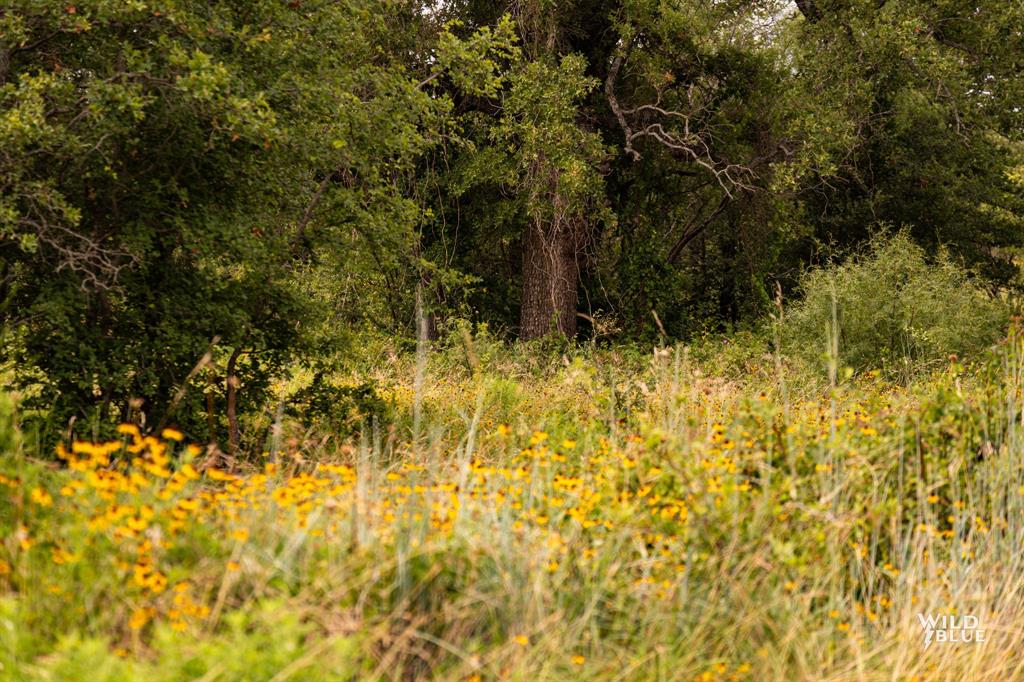 River Bend Ranch - Land