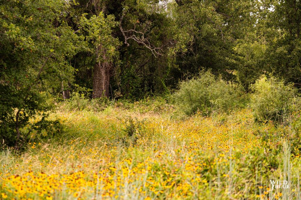 River Bend Ranch - Land