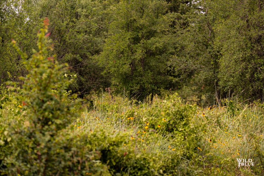 River Bend Ranch - Land