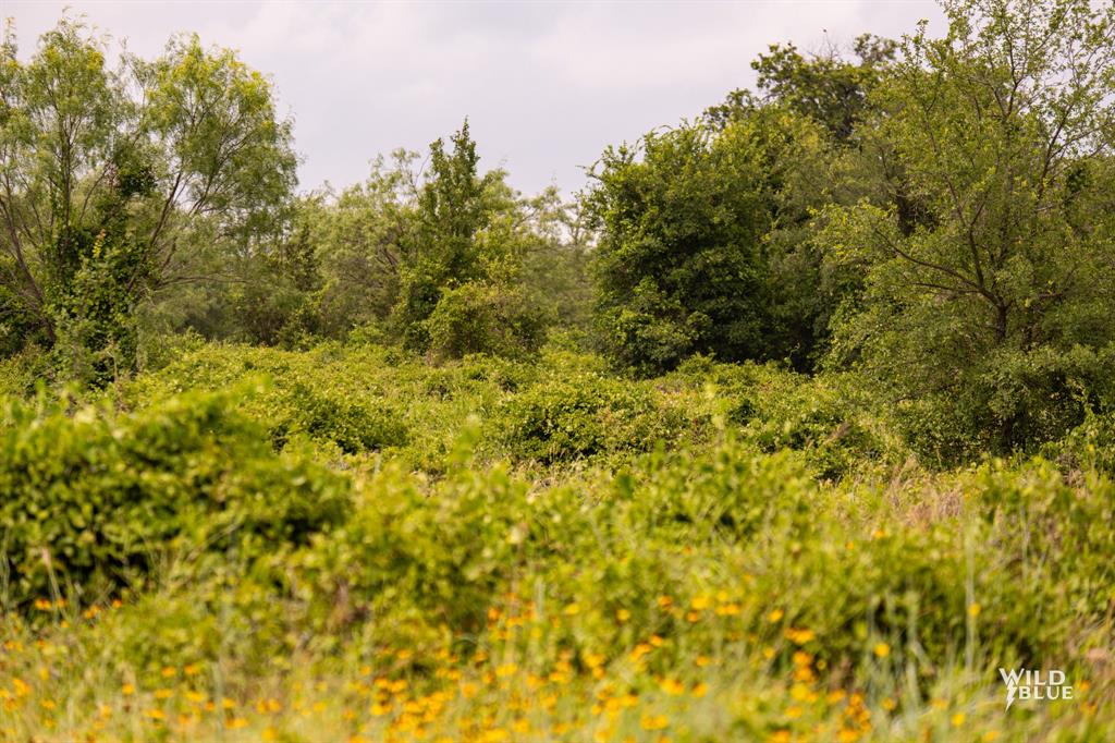 River Bend Ranch - Land