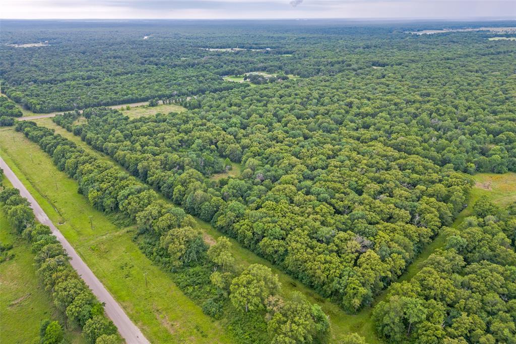 M.H. Johns Survey - Land