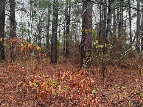 TBD Tejas Circle Jefferson TX 75657