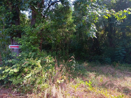 TBD PRIVATE ROAD, CARTHAGE, TX 75633 - Image 09d820cfe777c04e44fabf936623bbde/1276335667
