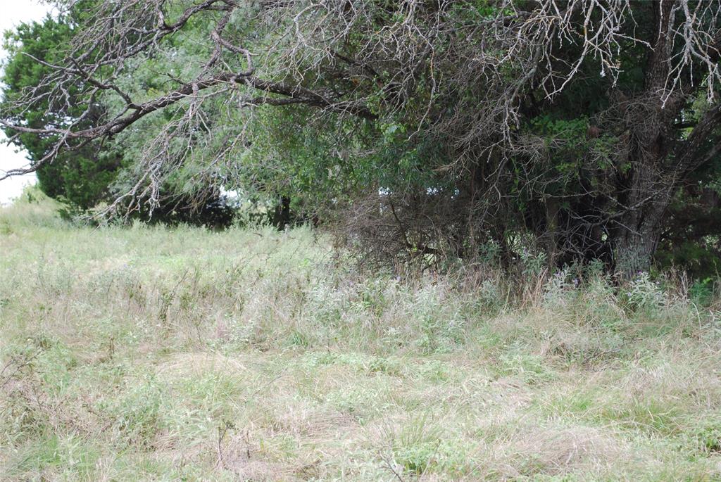 White Bluff #42 - Land