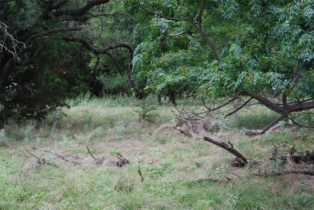 White Bluff #42 - Land