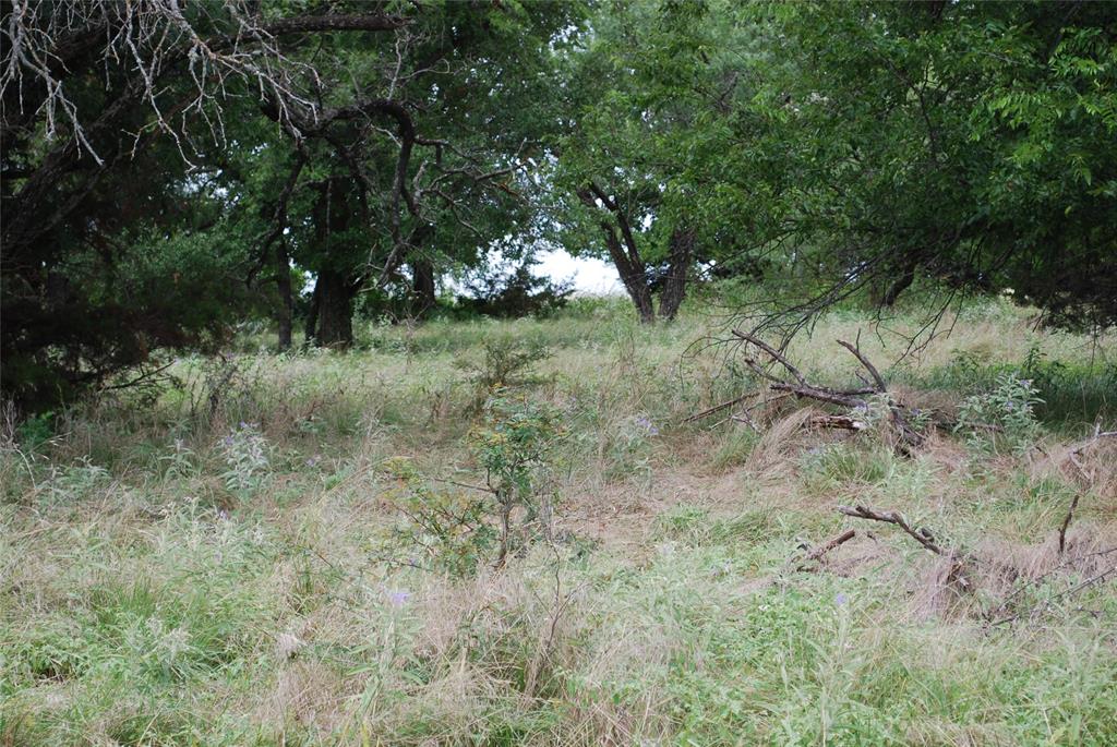 White Bluff #42 - Land