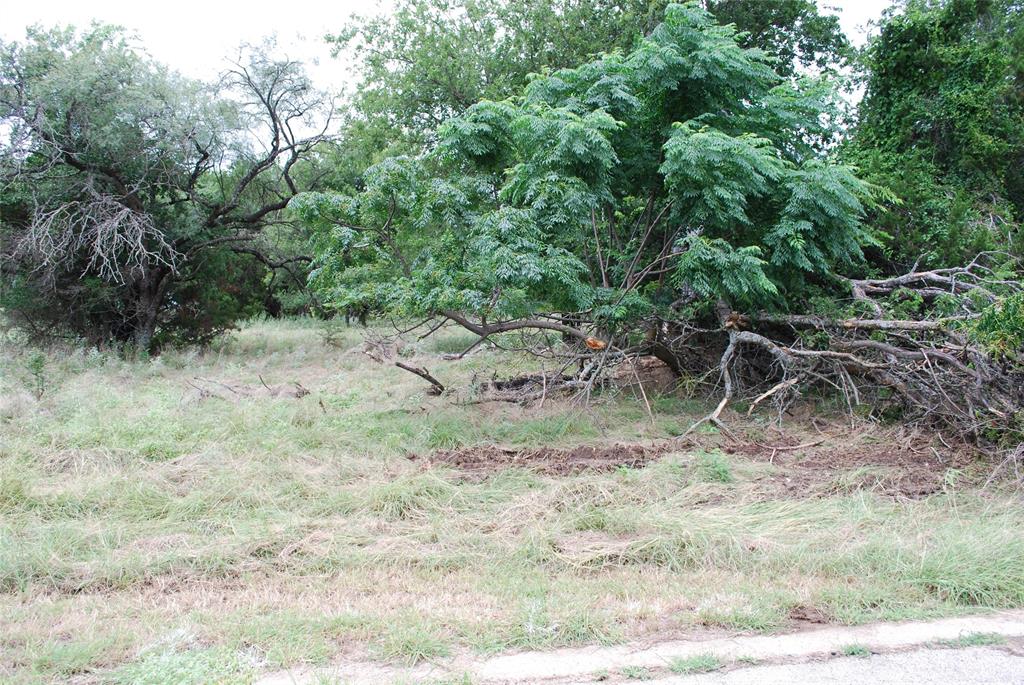 White Bluff #42 - Land