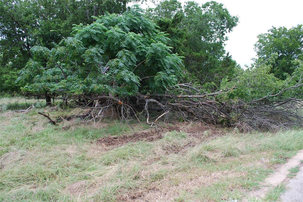 White Bluff #42 - Land