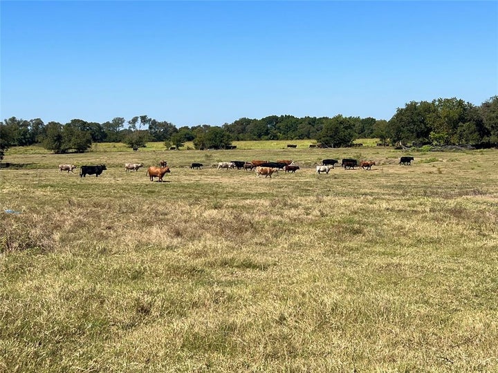 Photo 1 of 40 — TBD 1368 acres Lowell Road, Milford, TX 76670