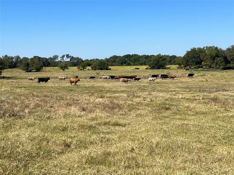 TBD 1368 acres Lowell Road Milford TX 76670