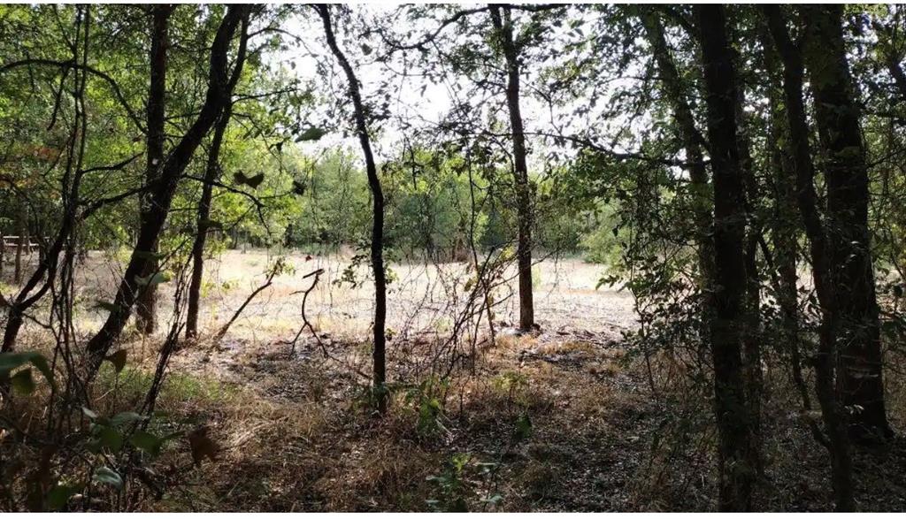 Vista Oaks Estates Add - Land