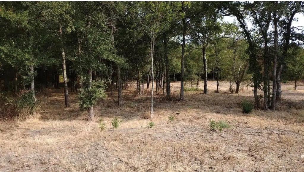 Vista Oaks Estates Add - Land