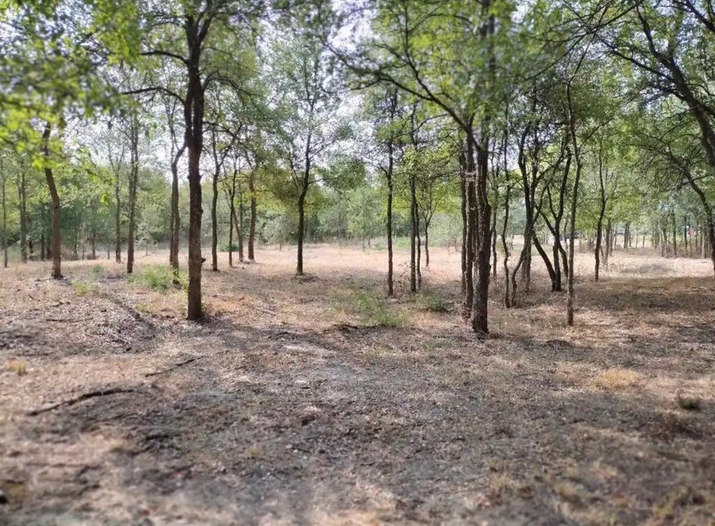 Vista Oaks Estates Add - Land