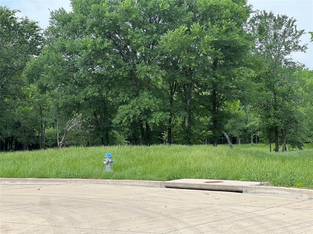 Vista Oaks Estates Add - Land