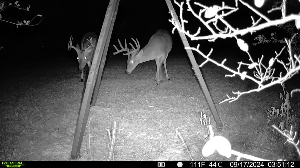 Paschal Add - Residential